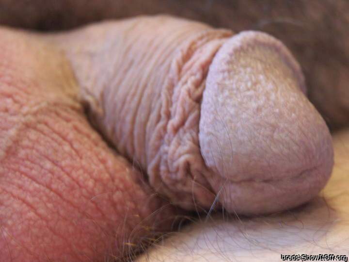 Adult image from brads