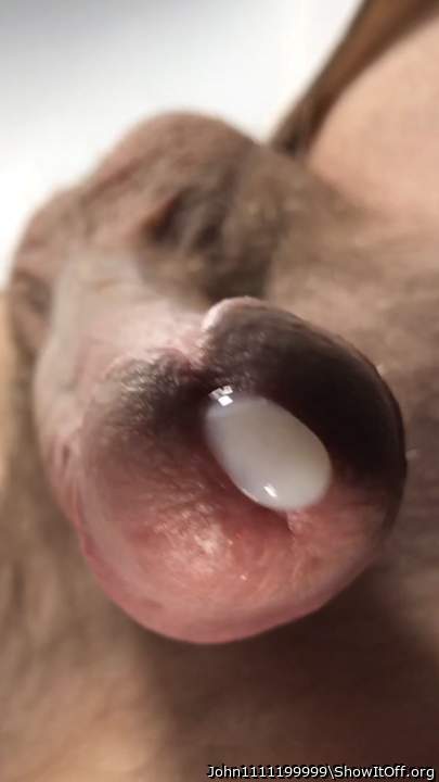 Adult image from John1111199999