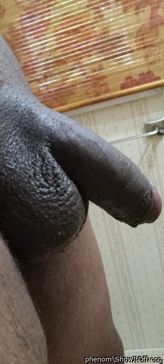 Adult image from phenom