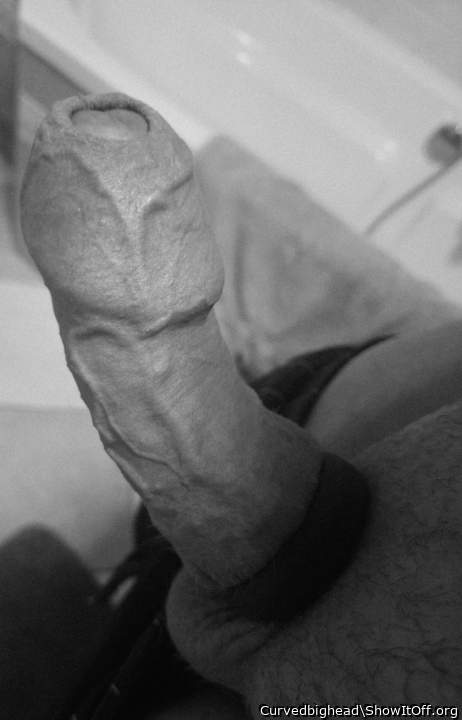 Adult image from Curvedbighead
