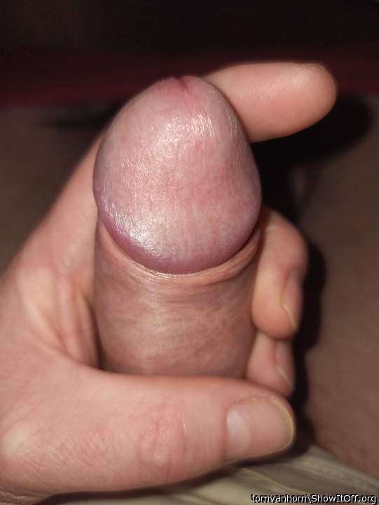 Adult image from tomvanhorn