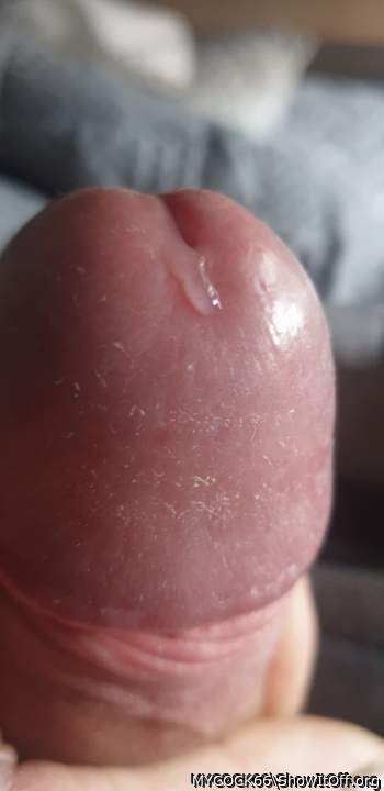 Adult image from MYCOCK66