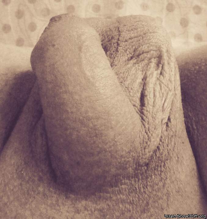 Adult image from bizen