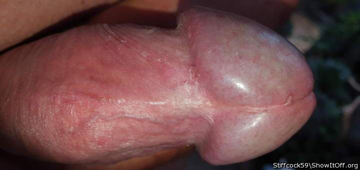 Adult image from Stiffcock59