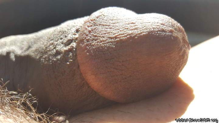 Adult image from eddier
