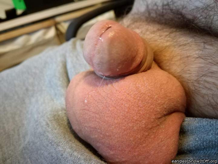 Adult image from FagExposureBln