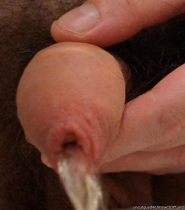 Adult image from uncutguy84