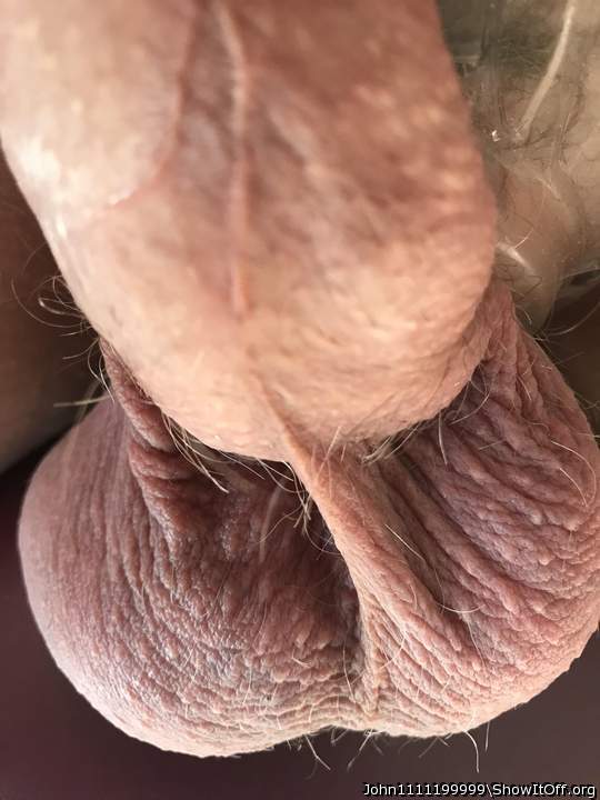 Adult image from John1111199999