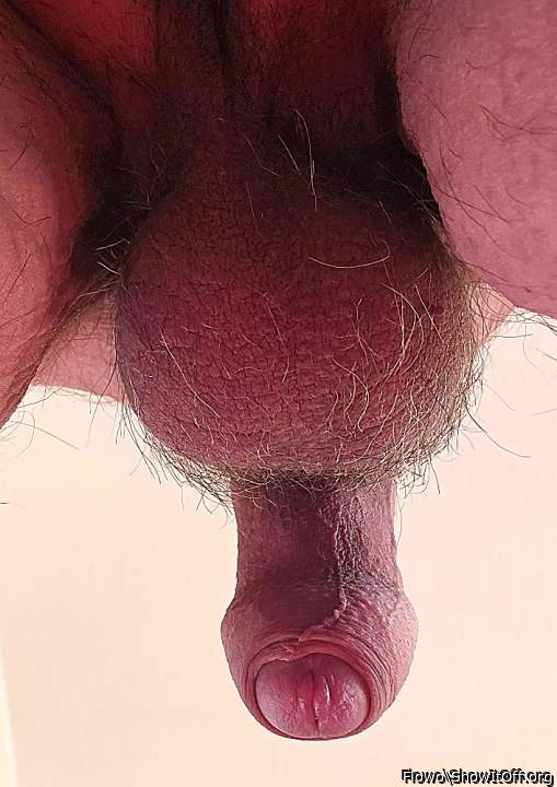 P 20443