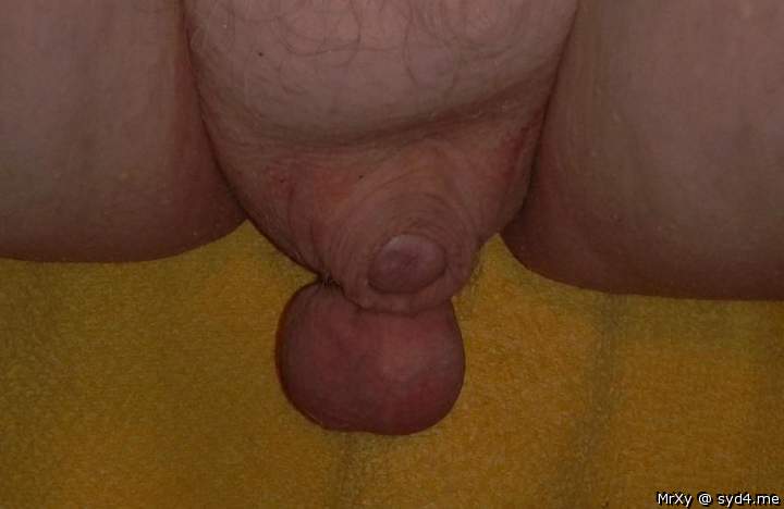 Adult image from MrXy