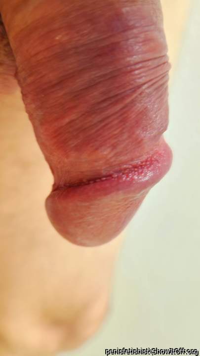 Adult image from penisfetishist