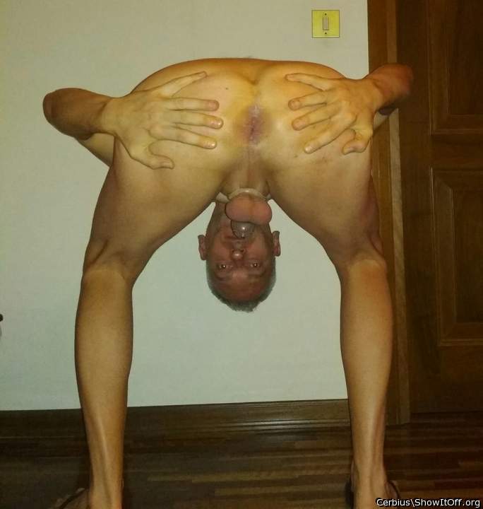 Adult image from Cerbius