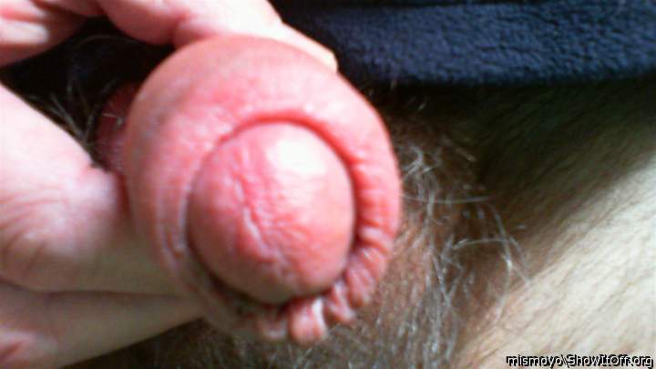 Adult image from mismoyo
