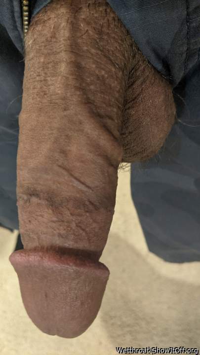 Adult image from Wetthroat