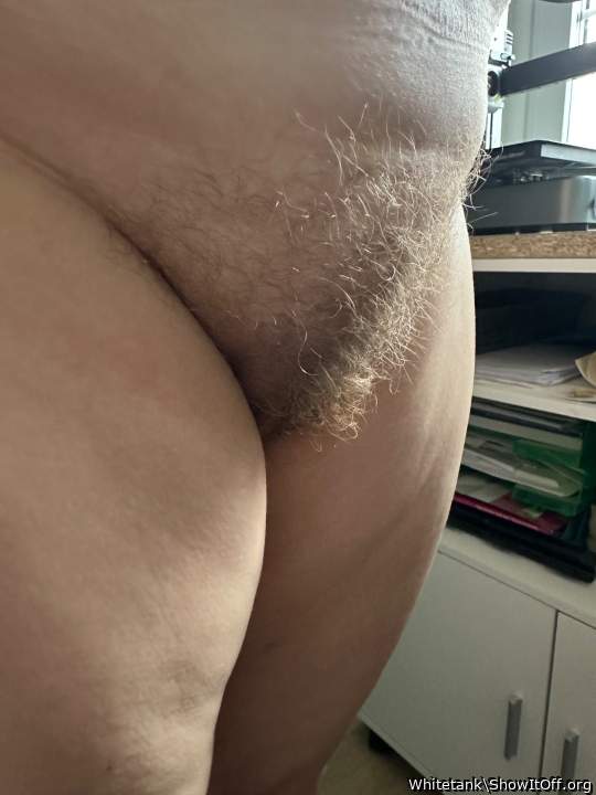 Sidebush