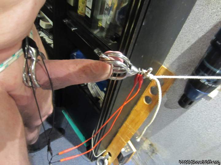 Adult image from Pit66