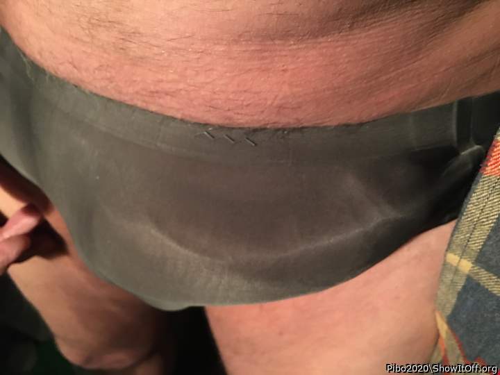 Adult image from Pibo2020