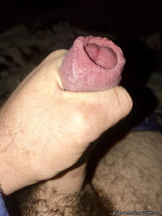 Adult image from Boerseun