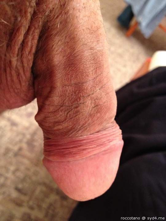 Adult image from roccotano
