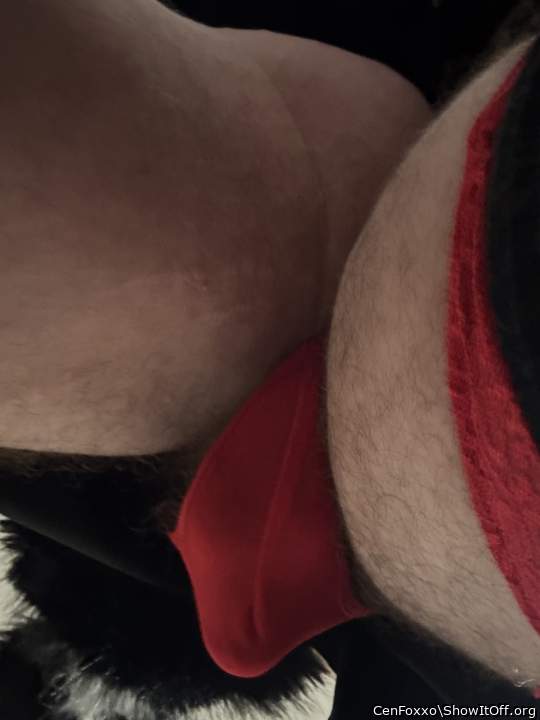 Adult image from CenFoxxo