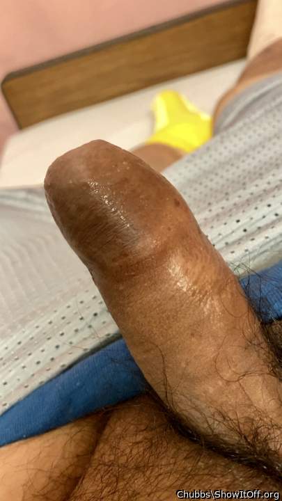 Adult image from Chubbs