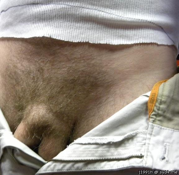 Adult image from J1991h