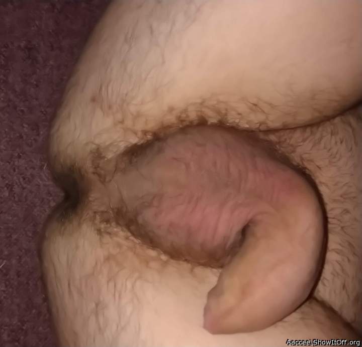 Adult image from Aaccee