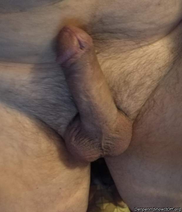 Adult image from Denpenn