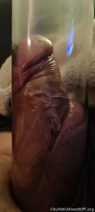 Adult image from Cbull66