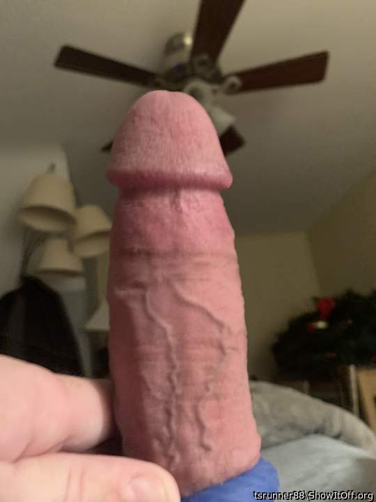 Adult image from tsrunner88