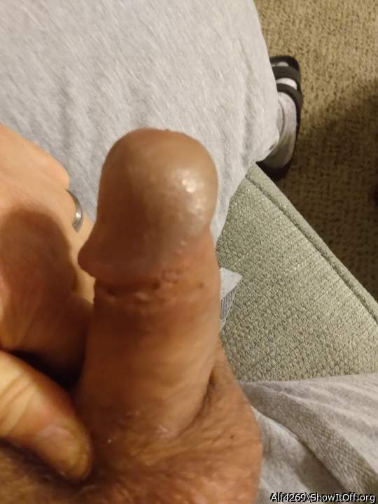 Adult image from Alf4269