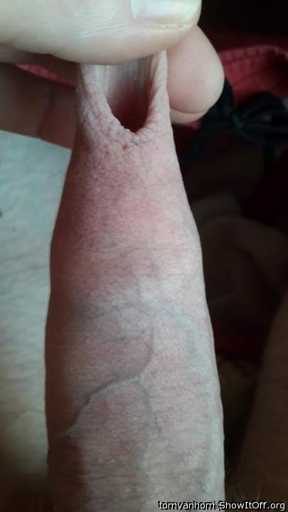 Adult image from tomvanhorn