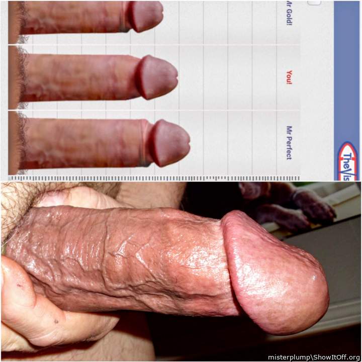 Adult image from misterplump
