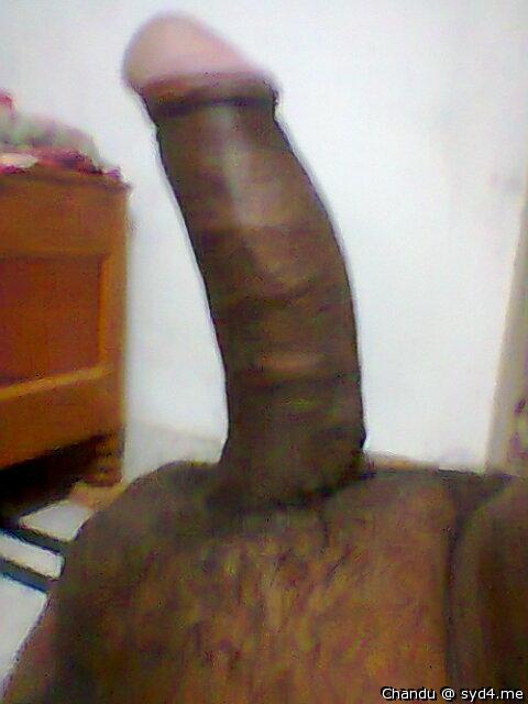 Adult image from Chandu