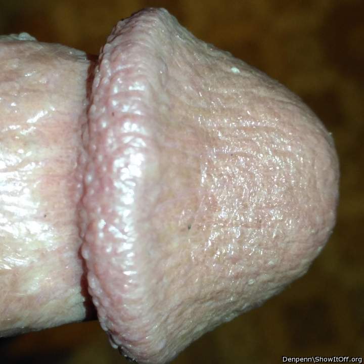 Adult image from Denpenn