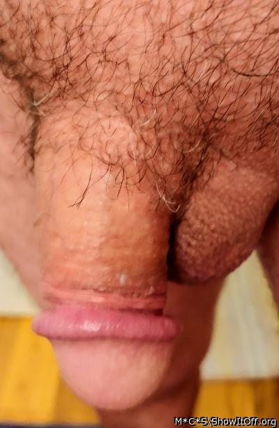 Adult image from M*C*S