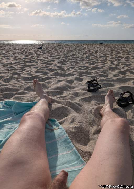 haulover nude beach