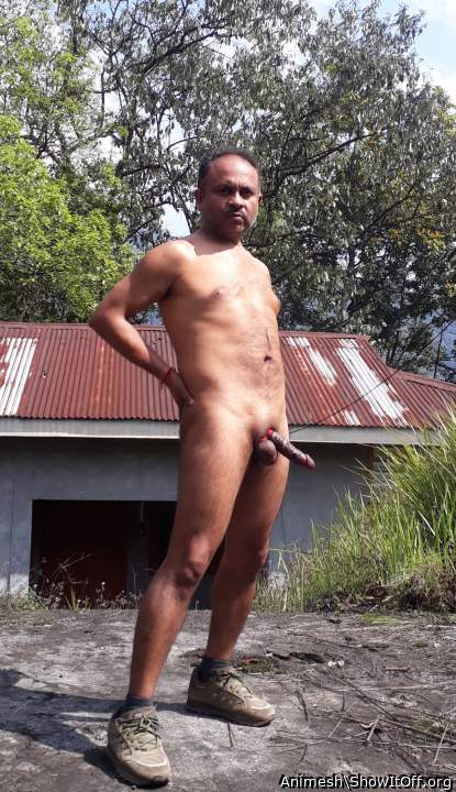 Adult image from Animesh
