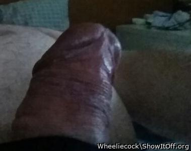 Adult image from Wheeliecock