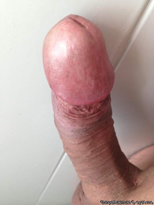 Adult image from ChinpoMukimuki