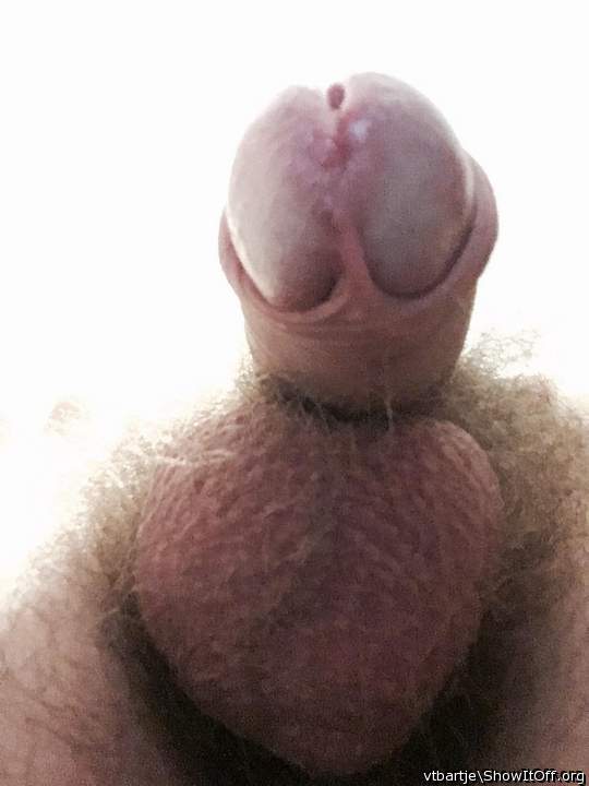 Adult image from vtbartje
