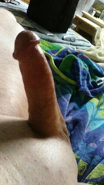 Adult image from fish4free