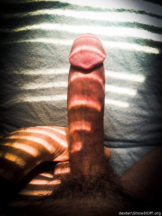 Adult image from Dexter