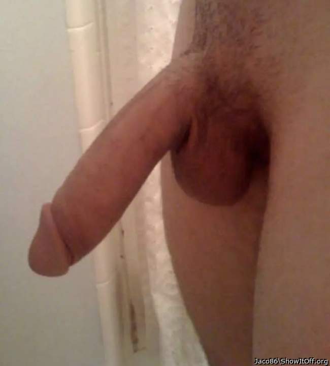 Adult image from Jaco86