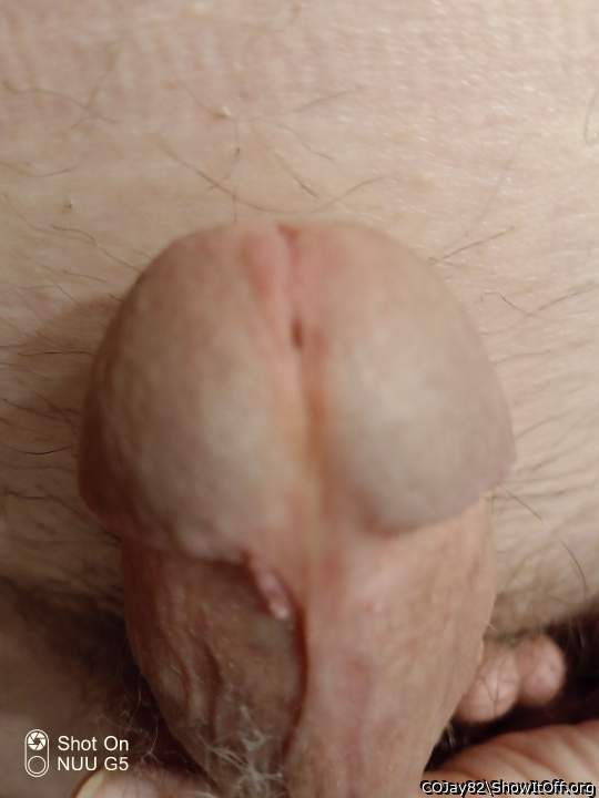 Adult image from COJay82