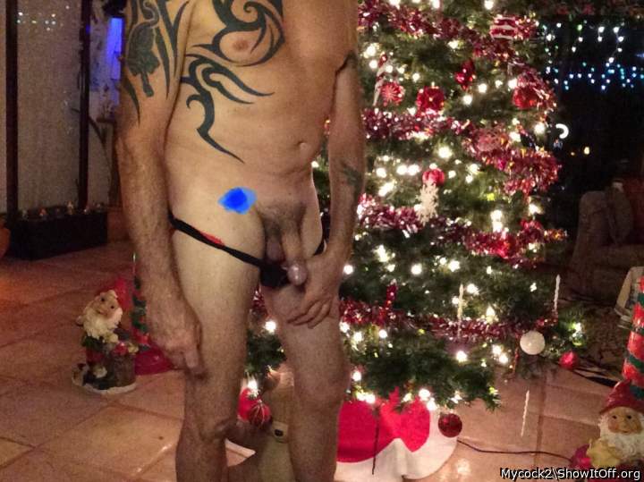 Adult image from Mycock2