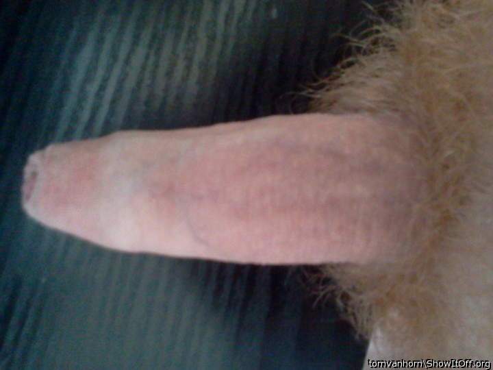 Adult image from tomvanhorn