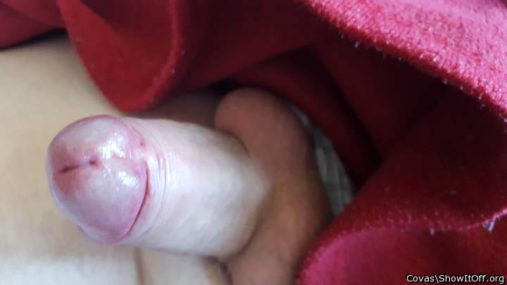 Adult image from covas