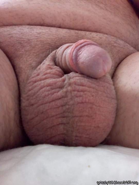 Adult image from grizzly66