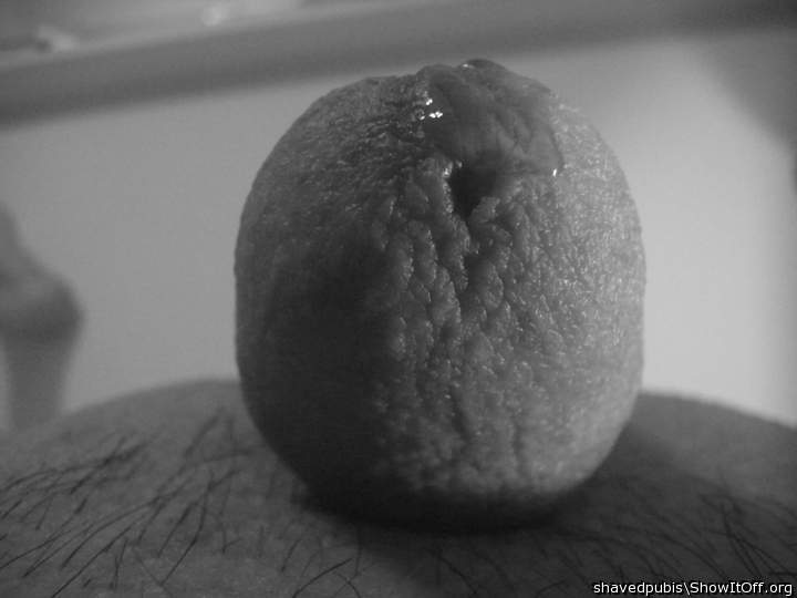 Adult image from shavedpubis